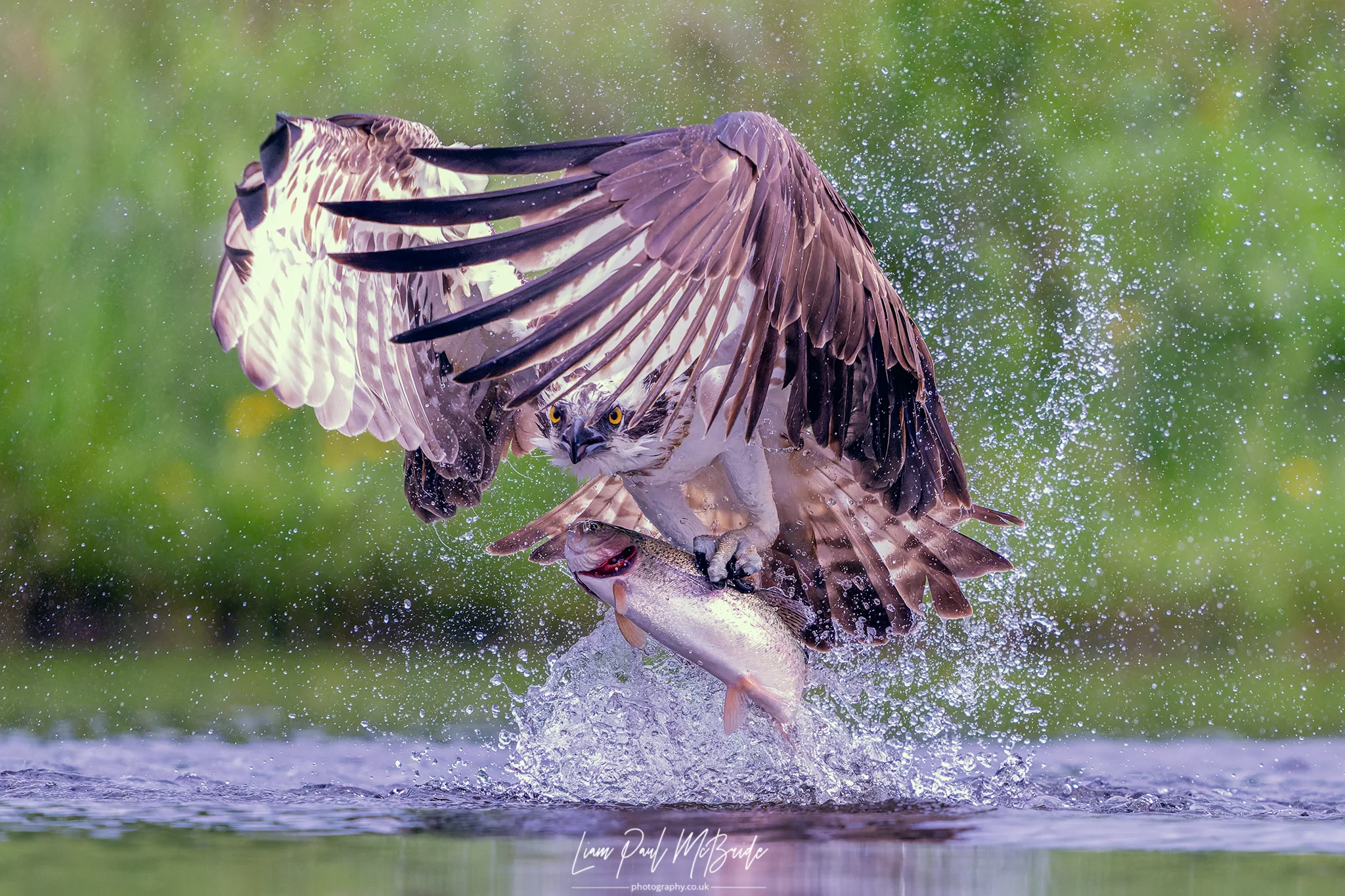 Power